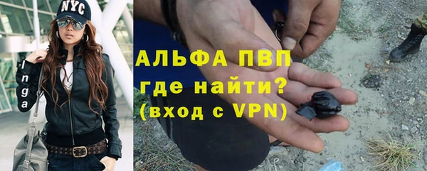 ECSTASY Покачи