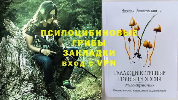 амф Аркадак