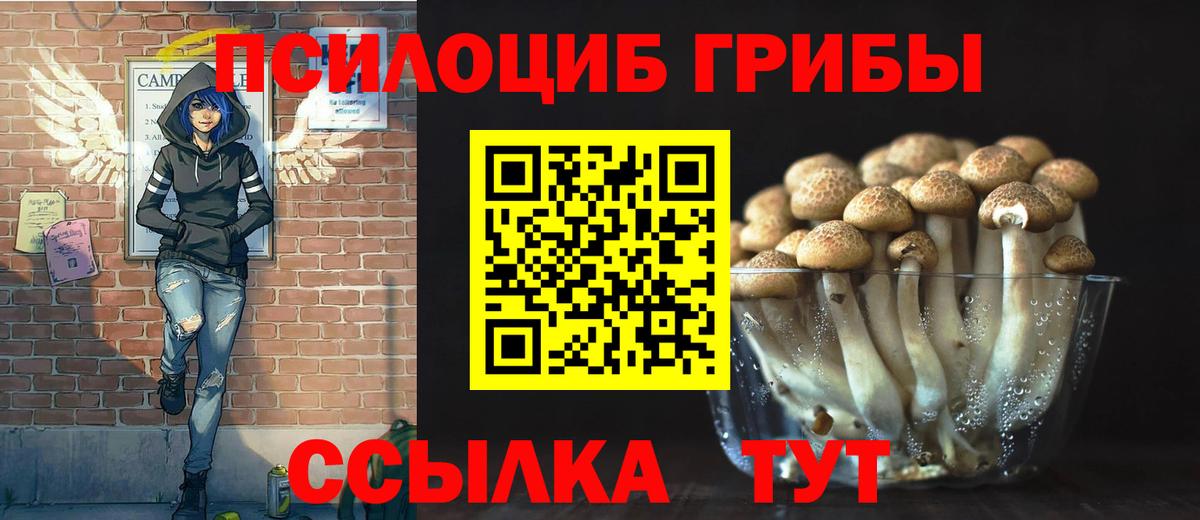 Псилоцибиновые грибы Cubensis  цены   Усолье-Сибирское  Вход с VPN  Псилоцибиновые грибы Psilocybine cubensis 